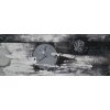 Obraz - Tok času (Rozměr 50 x 150 cm)