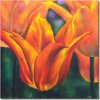 Obraz - Tulipány (Rozměr 40 cm x 40 cm)