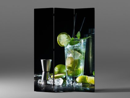 PARAVÁN DRINK MOJITO 1