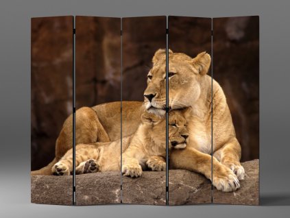 PARAVÁN LVICE SE LVÍČETEM 1