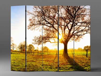 PARAVÁN PAPRSKY NA PODZIMNÍ LOUCE 1