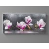 Obraz magnólie na plátně 2