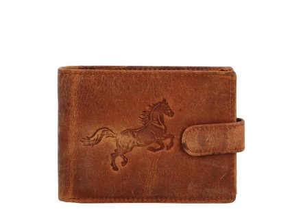 026 DM122R 032 camel horse 2024109110805 431674