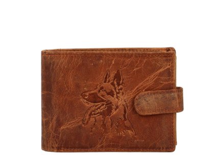 025 DM122R 032 camel dog 2024109110805 431664