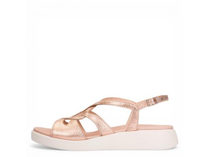 C 6550 MAX RAME 1 Photoroom