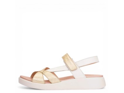 C 6552 COMB. PLATINO OF 1 Photoroom