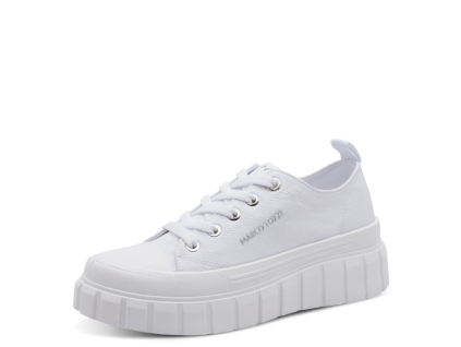 WO 2 23789 46 100 300