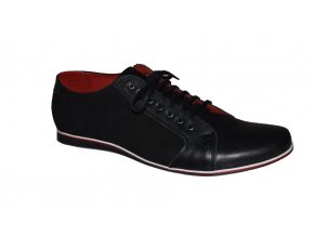 Lavaggio Polobotky 1379