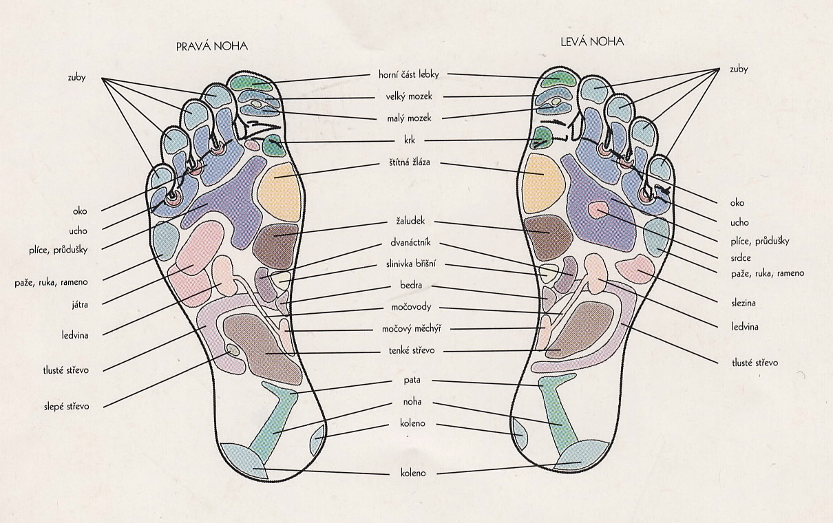 chodidlo_jako_zrcadlo_organismu