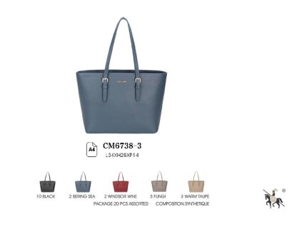 CM6738