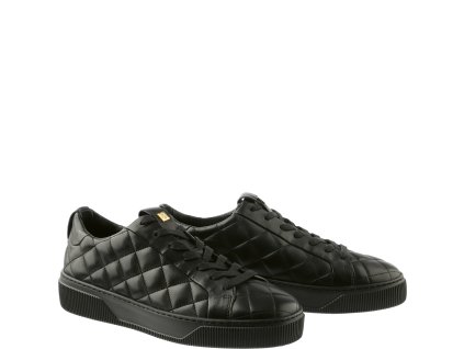 Högl AW 2025 100 0 103420 0100 2
