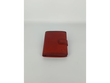 Obrázek WhatsApp, 2025 01 30 v 15.05.05 a4c0ee0c