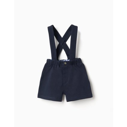 000031078223006349 v1