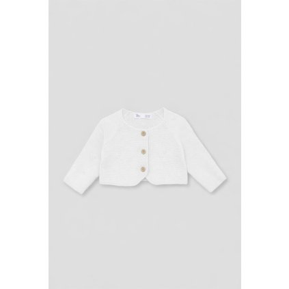 copilot image 1773943694338