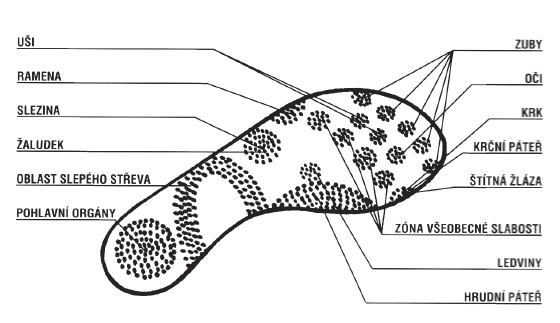 pantofle1b