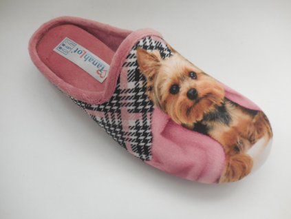 SH-Cagnolino dog salmone