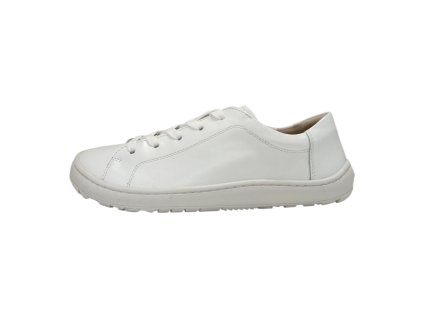 Photoroom 20251217 123411