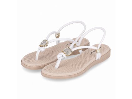 51303900000001 lateral