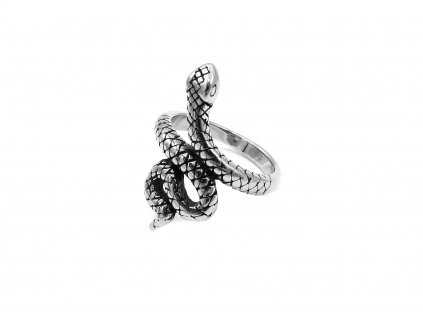 prsten z chirurgické oceli had