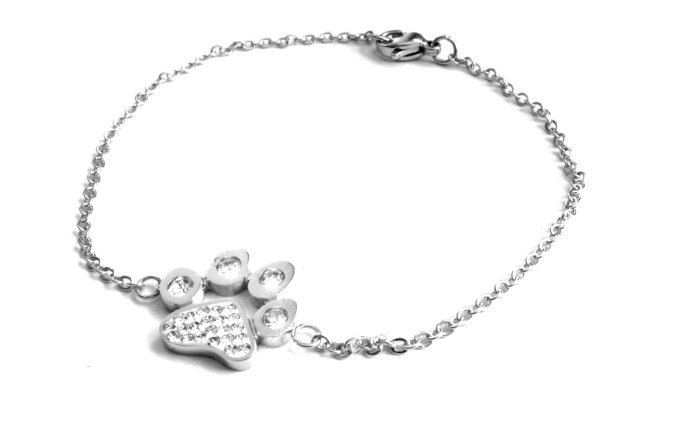 Steel Jewelry Náramek tlapka z chirurgické oceli NR090124