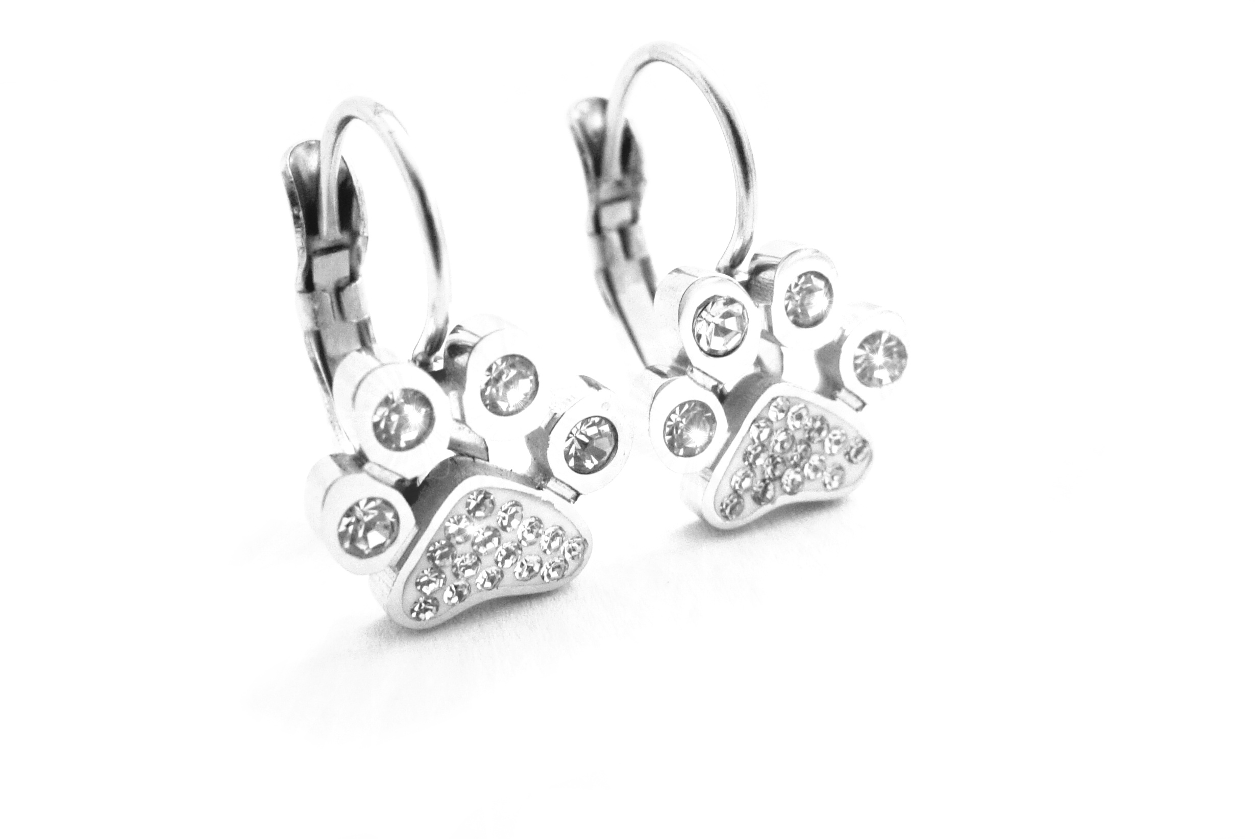 Steel Jewelry Náušnice tlapky z chirurgické oceli NS180485