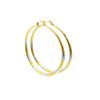 zlaté náušnice - chirurgická ocel - kruhy