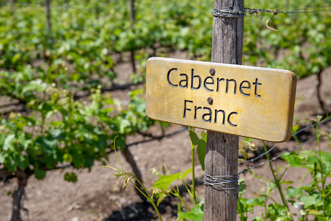 CABERNET FRANC - PROZKOUMEJTE JEHO BOHATOST A ELEGANCI