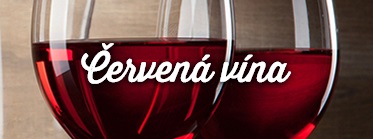 Banner 1