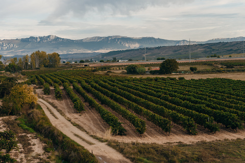 Navarra