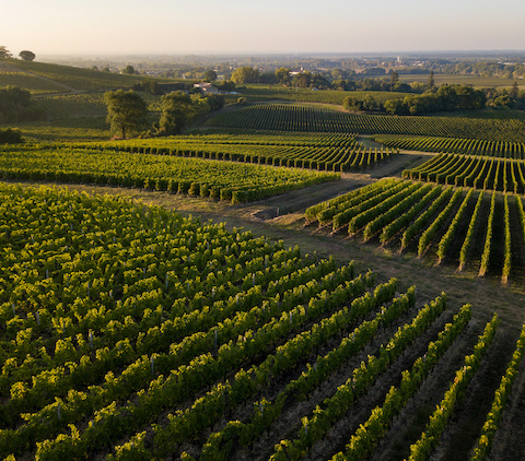 bordeaux_2
