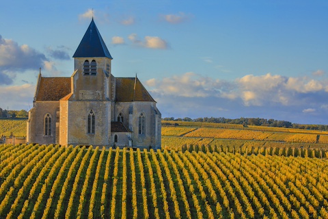 chablis1