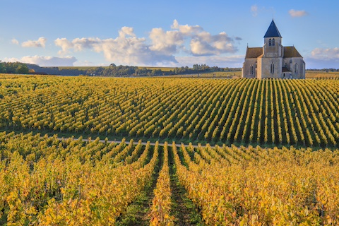 chablis4