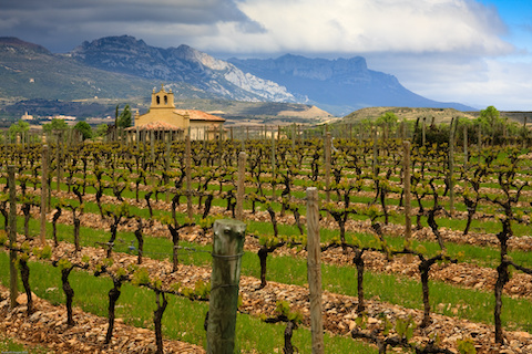rioja
