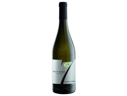 SETTIMO PODERE PINOT GRIGIO