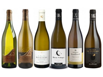 kvalitní víno Burgundské Chardonnay od oceněnávínaCZ