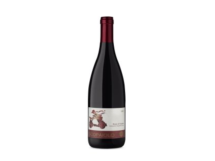 Syrah Scopaiolo 2014, Pieve de Pitti