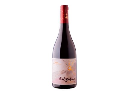 Crianza Calsadas 2015, De Aradon, Rioja