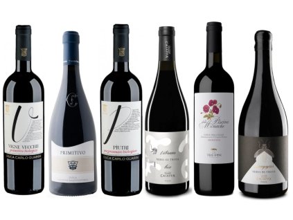 Primitivo a spol užijte si ovocnost jihu Itálie OceněnáVína CZ 03 2022