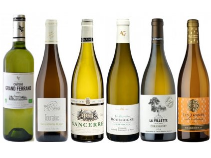 kvalitní víno Cesta po Francii vliv sudu na chardonnay a rozdíly Sauvignon od oceněnávínaCZ