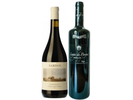 Kořenitý duel Rioja vs Ribera del Duero OceněnáVína CZ (1)