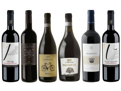 Objevte červená vína Itálie od Toskánska až po Puglii OceněnáVína CZ (2)