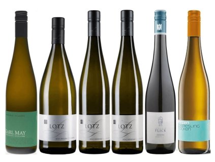Ryzlink rýnský polosuché až polosladké pokušení od Mosely po Rheingau OceněnáVína CZ (1)