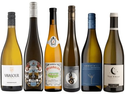 90+ bodová bílá vína_OceněnáVína_CZ