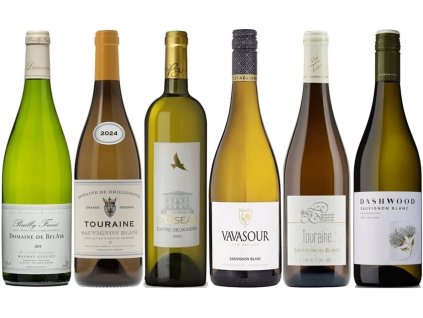 Sauvignon Blanc poznejte vliv polohy a stylu OceněnáVína CZ