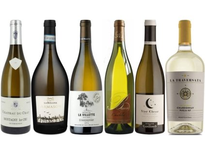 Chardonnay poznejte vliv polohy a stylu OceněnáVína CZ