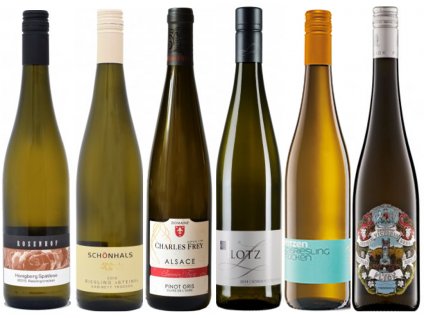kvalitní víno Riesling poznejte vliv polohy a stylu od ocenenávínaCZ