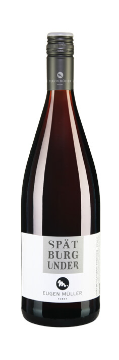 BIO Pinot Noir Les Colombiers 2023, Villa Noria, Pays dOc