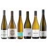 Bestsellery pro vaše rozmarné léto svěží bílá vína OceněnáVína CZ