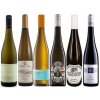 Ryzlink rýnský od Mosely po Wachau 2020 (1)