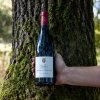 BIO Cotes du Rhone, Chateau Gigognan scéna 1 formát 1x1 (1)